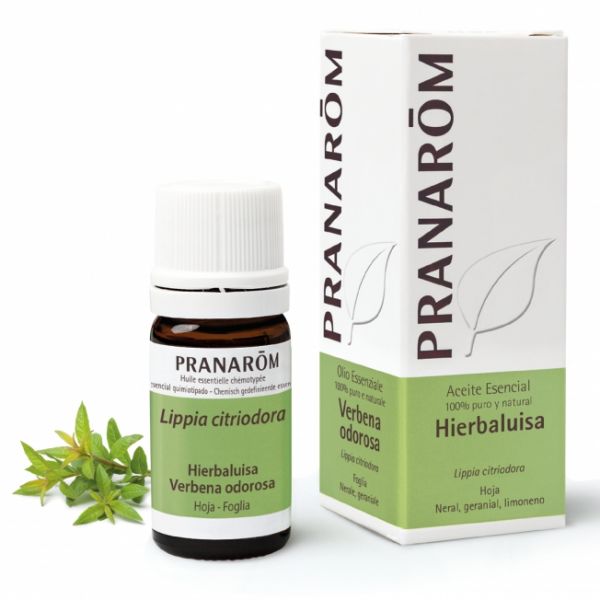 Lemongrass Essential Oil Leaf 5ml - PRANAROM