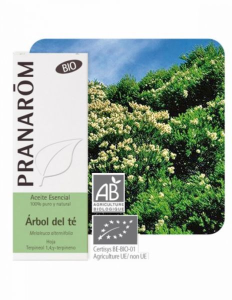 Ätherisches Teebaumöl Blatt 10ml - PRANAROM