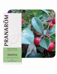 Kaufen PRANAROM Ätherisches Wintergrünöl 10ml Von 8,20€