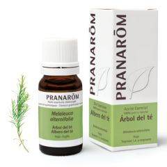 Kopen PRANAROM Teatree etherische olie Biologisch blad 10 ml Door 11,10€