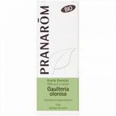 Kopen PRANAROM Olorosa Wintergreen etherische olie biologisch blad 10ml Door 9,35€