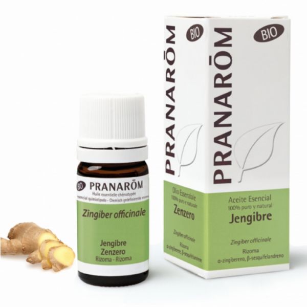 Ginger Rhizome Bio Essential Oil 5ml - PRANAROM