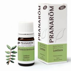 Buy PRANAROM Mastic Branch Organic Essential Oil 5ml By 35,55€