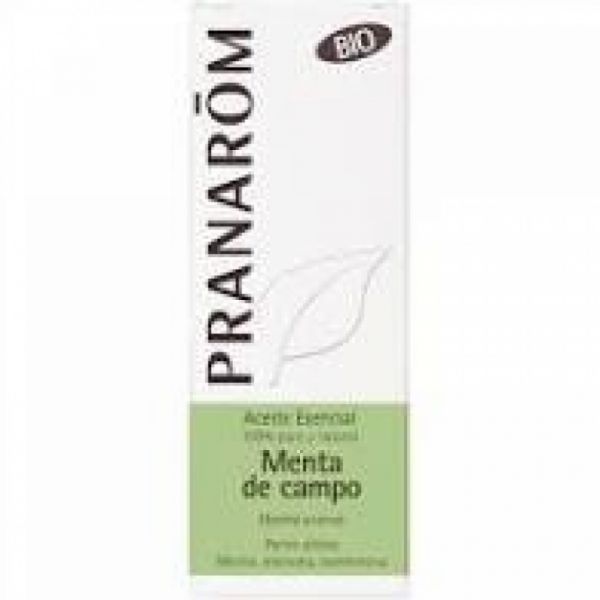 Parti aeree di olio essenziale di menta di campo Bio 10ml