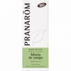 Comprar PRANAROM Aceite Esencial Menta de Campo partes Aéreas Bio 10ml Por 6,05€