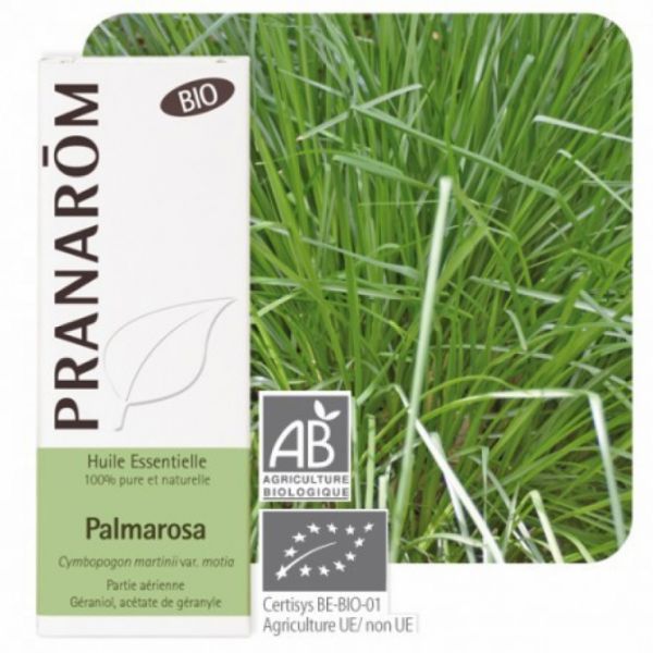 Palmarosa Bio aerial parts essential oil 10 ml