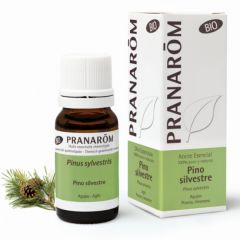 Comprare PRANAROM Aghi di Pino Selvatico Olio Essenziale Bio 10 ml Di 11,15€