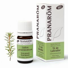 Buy PRANAROM Labrador Tea Florida Branch Bio Essential Oil 5 ml By 58,90€