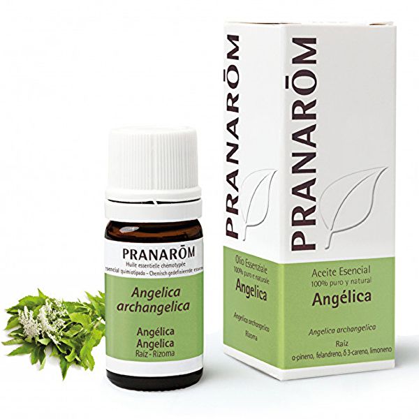 Angelica Root Essential Oil 5ml - PRANAROM