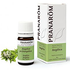 Kopen PRANAROM Engelwortel etherische olie 5 ml Door 41,30€