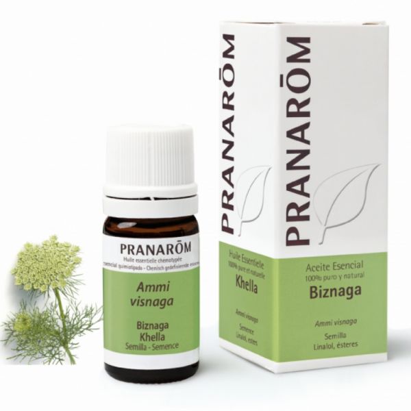 Biznaga Seed Essential Oil 5ml - PRANAROM