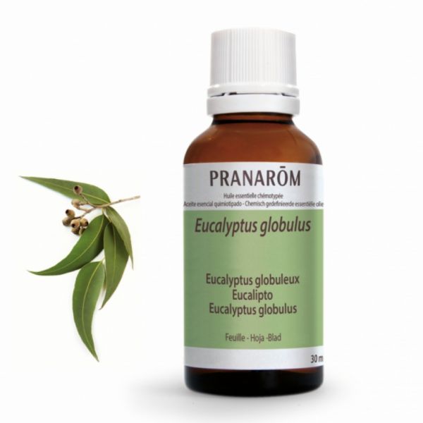 Eucalyptus Leaf Essential Oil 30ml - PRANAROM