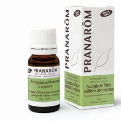 Kaufen PRANAROM Ätherisches Eukalyptus-Mehrblumenöl mit Kryptone-Blättern 10 ml Von 32,40€