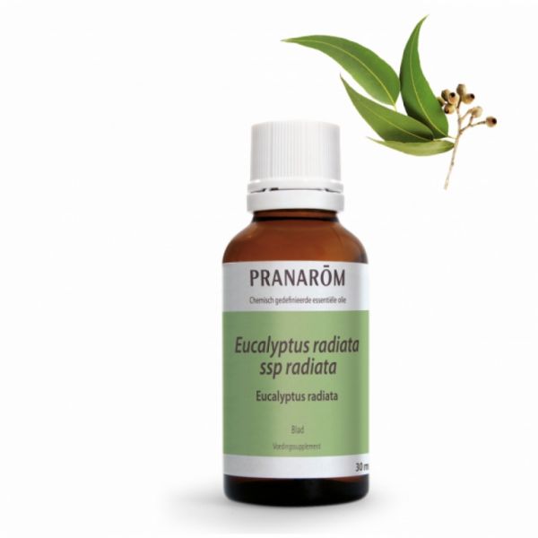 Eucalyptus Radiata blad etherische olie 30ml