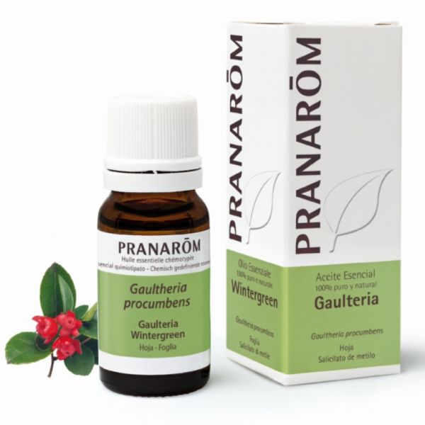 Wintergreen Leaf Essential Oil 100ml - PRANAROM