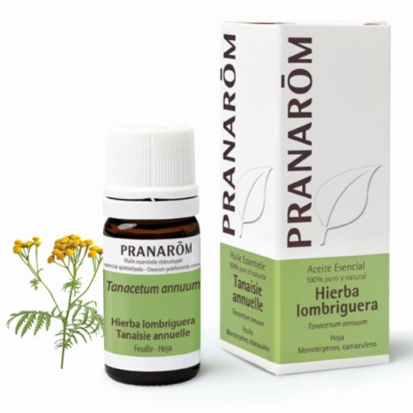 Tansy Leaf Essential Oil 5ml - PRANAROM