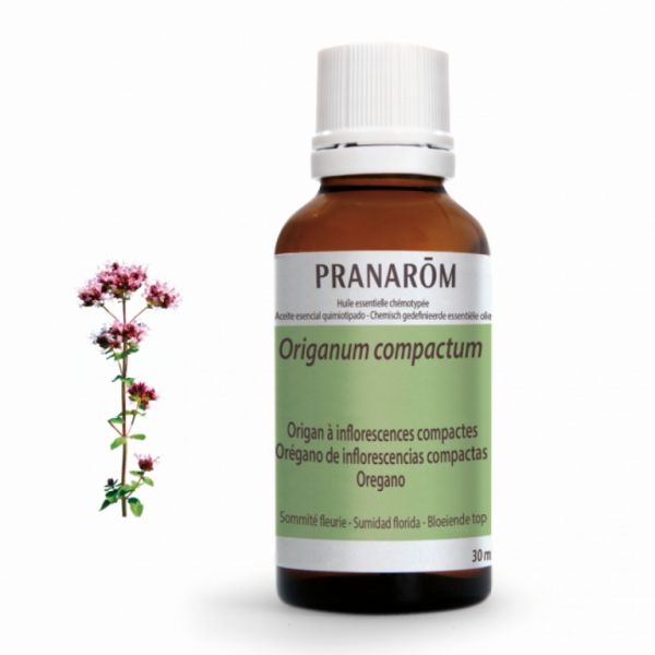 Oregano Essential Oil of Compact Inflorescences 30 ml