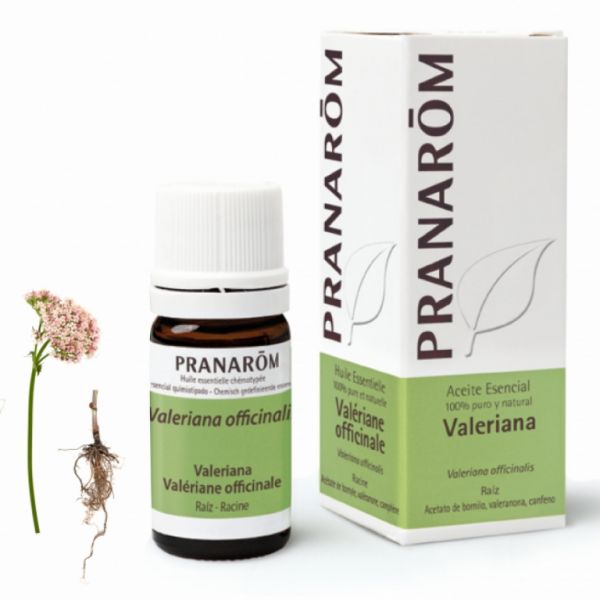 Aceite Esencial Valeriana Raíz 5 ml - PRANAROM