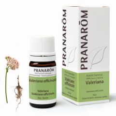 Buy PRANAROM Valerian Root Essential Oil 5 ml By 23,60€