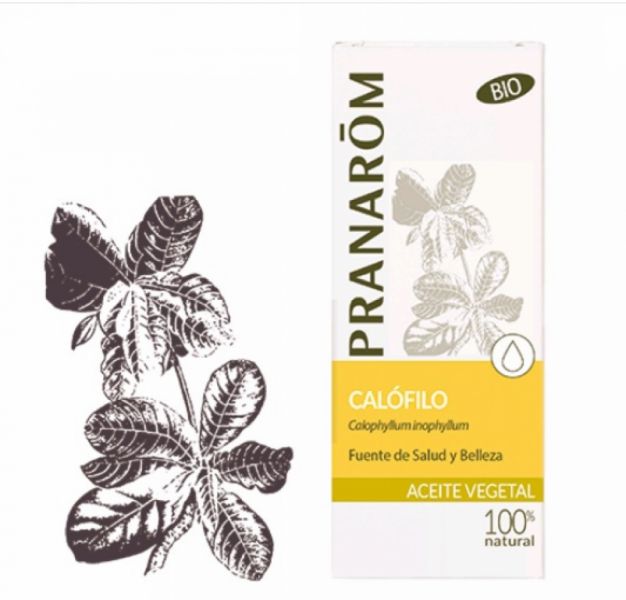 Aceite vegetal Calófilo Bio 50 ml - PRANAROM