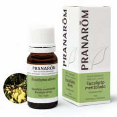 Kopen PRANAROM Menthol Eucalyptusblad etherische olie 10 ml Door 6,20€