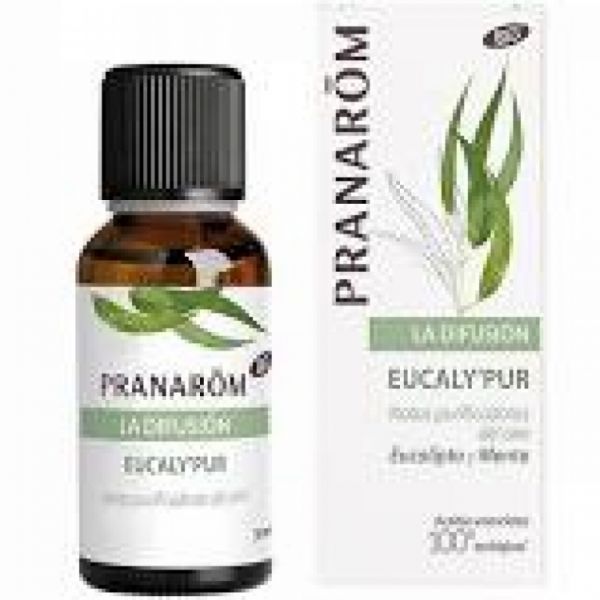 Eucalypur Bio Essential Oil 30ml Diffusion