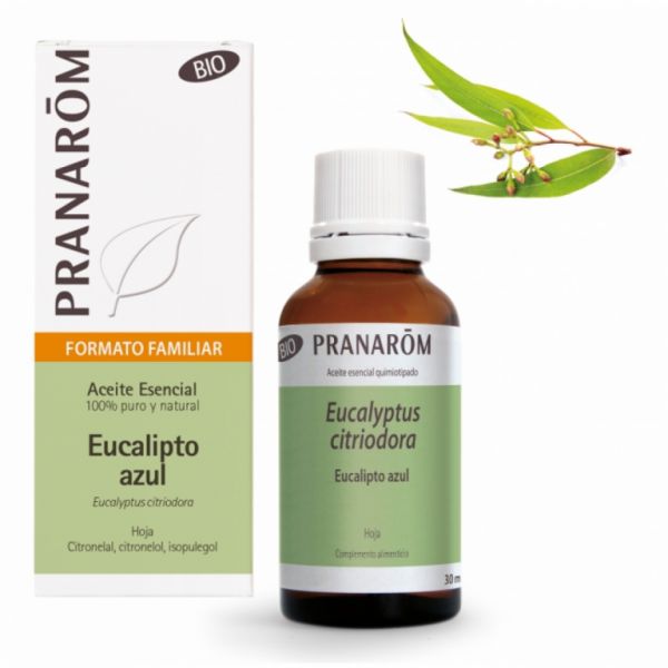 Ekologisk Blue Leaf Eucalyptus eterisk olja 30ml