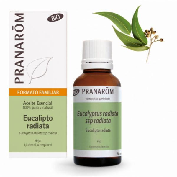 Eucalyptus Radiata Leaf Bio Óleo Essencial 30ml