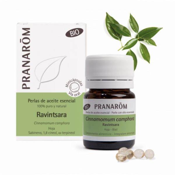 Ravintsara Organic Leaf Essential Oil 60 Minicapsules