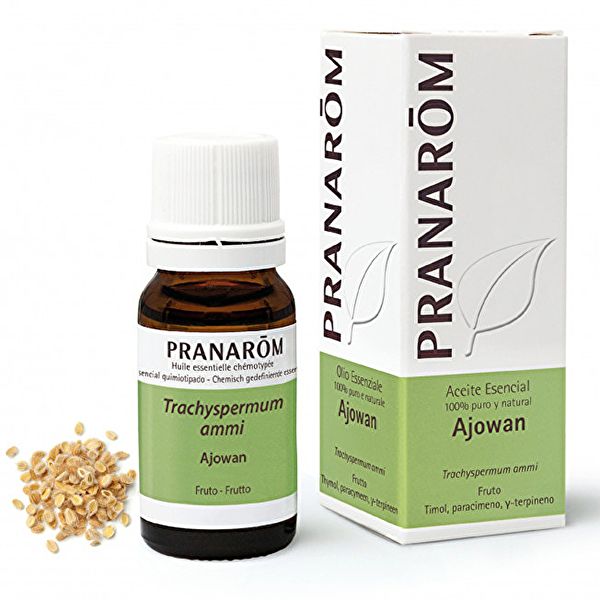 Ajowan Fruit Essential Oil 10ml - PRANAROM