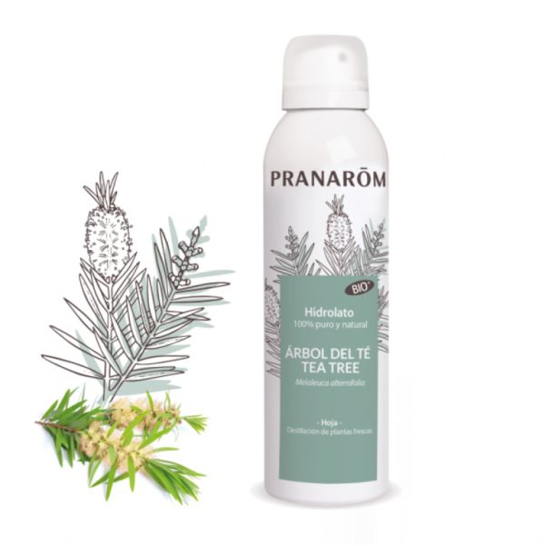 Hydrolat d'arbre à thé bio 150ml - PRANAROM