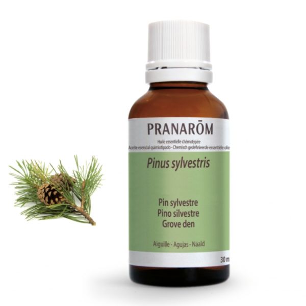 Scots Pine Needles Essential Oil 30 ml - PRANAROM