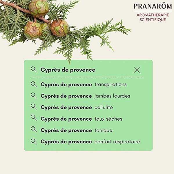 Essential Oil Cypress of Provence Branch 10ml Img 2