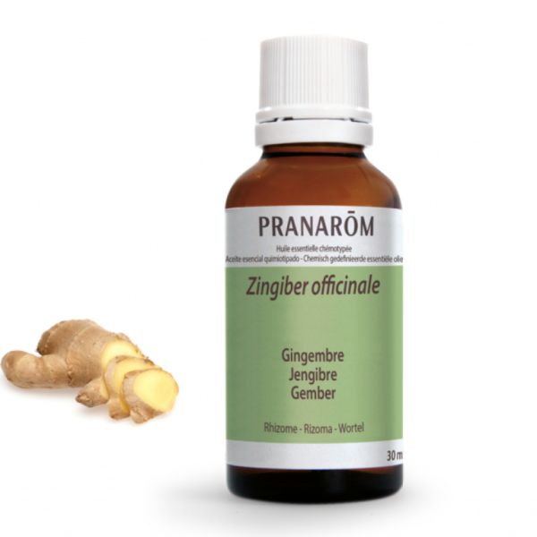 Ginger Rhizome Essential Oil 30ml - PRANAROM