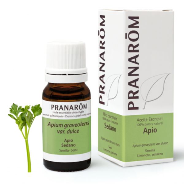 Celery Seed Essential Oil 10ml - PRANAROM