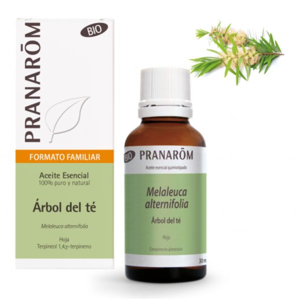 Ätherisches Teebaumöl Bio-Blatt 30ml - PRANAROM