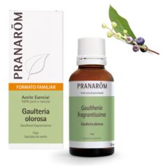 Kopen PRANAROM Biologische Olorosa Wintergroen etherische olie 30 ml Door 22,40€