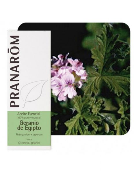 Geranium Essential Oil from Egypt Leaf 10ml