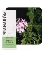 Buy PRANAROM Geranium Essential Oil from Egypt Leaf 10ml By 16,75€