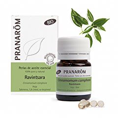 Buy PRANAROM RAVINTSARA ESSENTIAL OIL BIO LEAF 60 Minicapsules By 14,65€