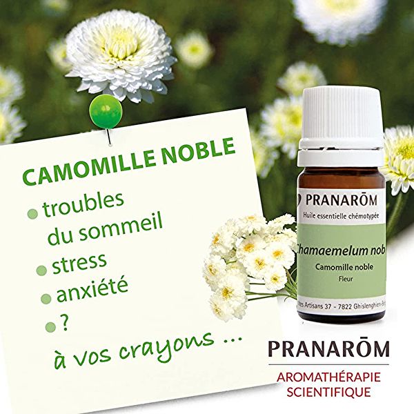 Huile Essentielle de Fleur de Camomille Romaine 5 ml Img 2