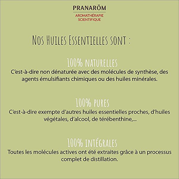 Huile Essentielle de Fleur de Camomille Romaine 5 ml Img 4