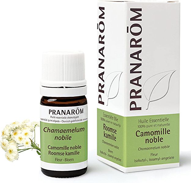 Roman Chamomile Flower Essential Oil 5 ml