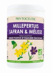 Buy INSTITUC P Hiperico Complex + Saffron + Lemon Balm Bio 60 tablets By 27,70€