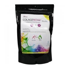 Comprar VAMINTER COLAGENOVA MOVILITY + Colageno&Hialuronico 780 gr Por 39,18€