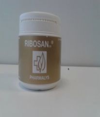 Buy PHARMALYS RIBOSAN 310 gr POWDER By 55,00€