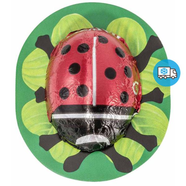 Chocolate Ladybugs 800 g - RAPUNZEL