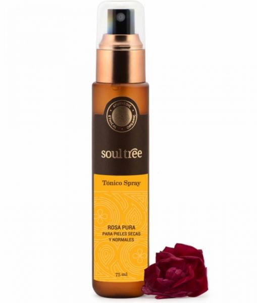 TONER FACIAL ROSA PELE NORMAL E SECA 100 ml