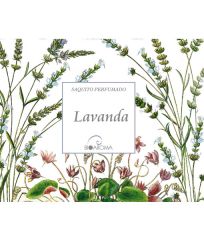 Comprare BIOAROMA Bustina profumata alla lavanda 12,5 g Di 2,95€