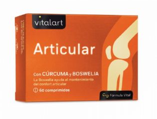 Comprare VITALART ARTICOLARE VITALART 60 comp Di 24,75€